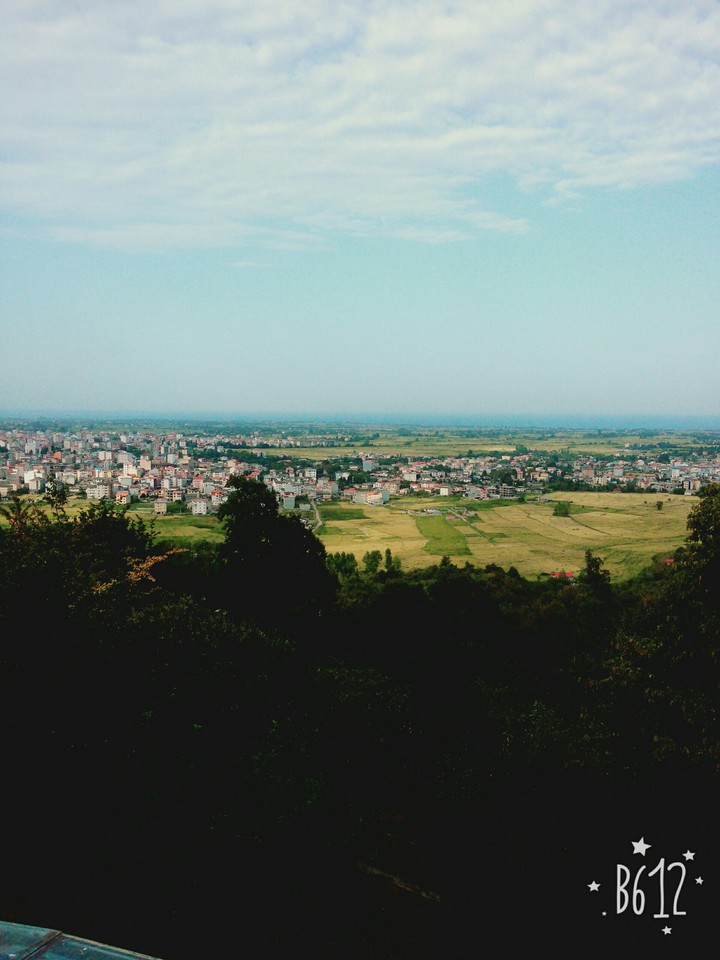 nature