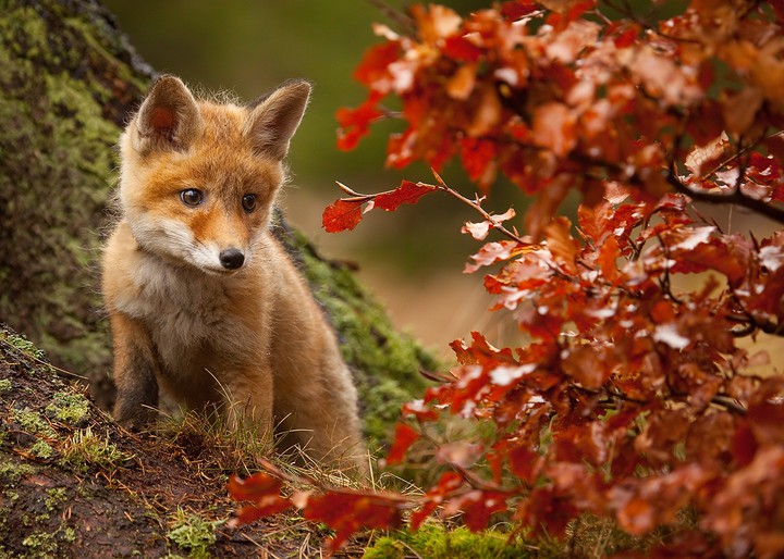 #cute