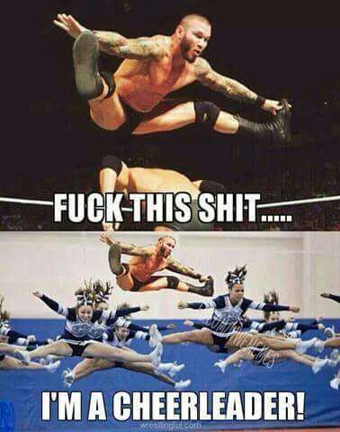 Wrestling fan memes