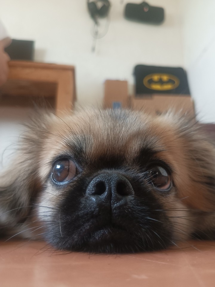 .