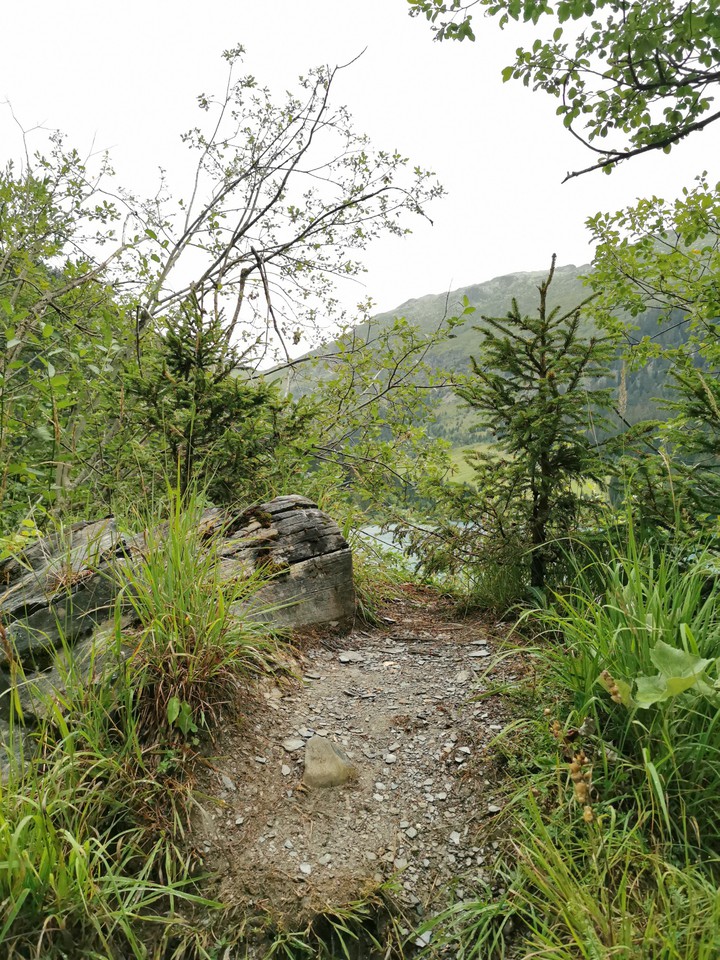 Le long d'un chemin