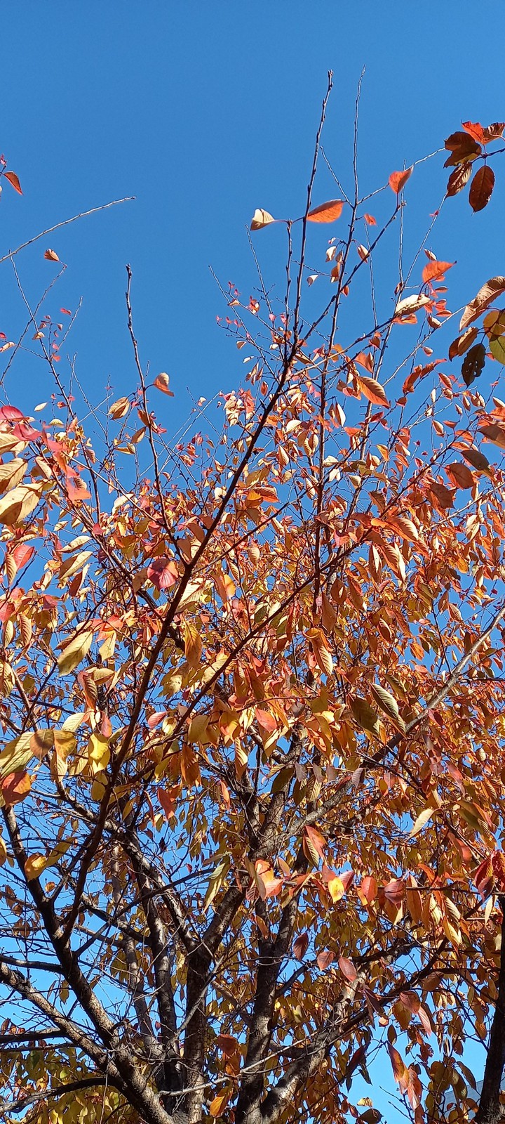 blue sky