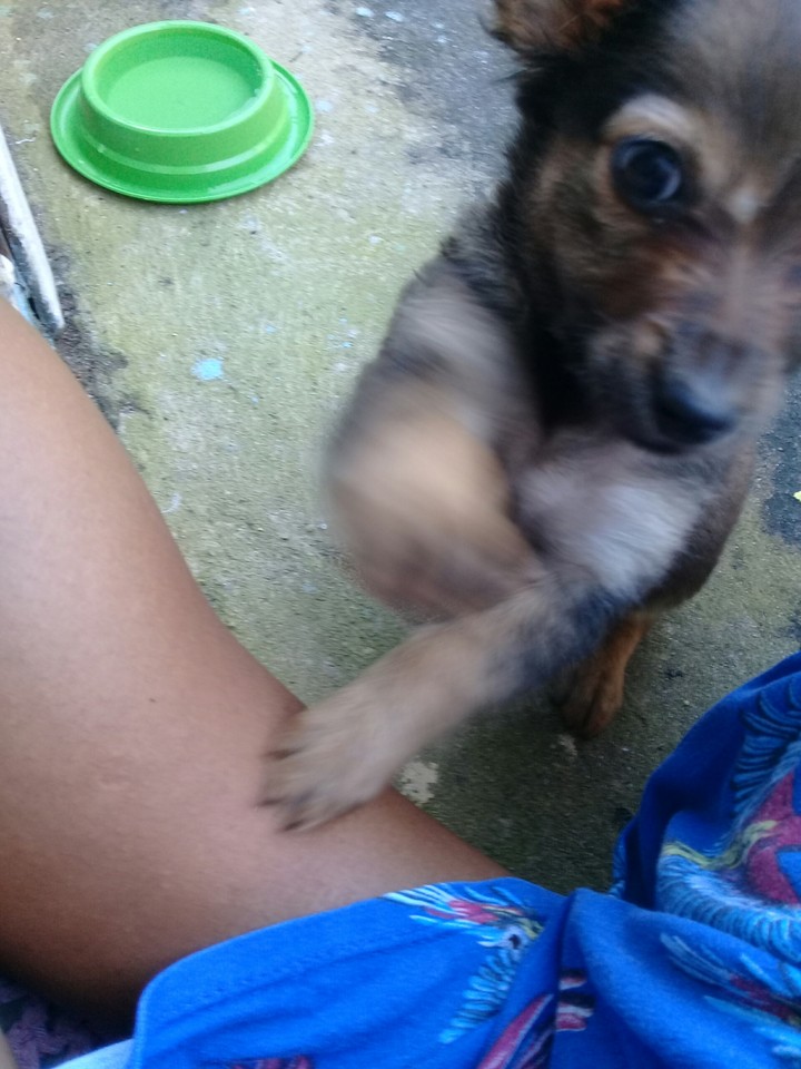 minha