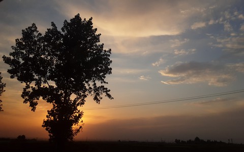 sunset