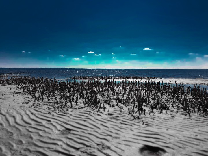 Everything is blue