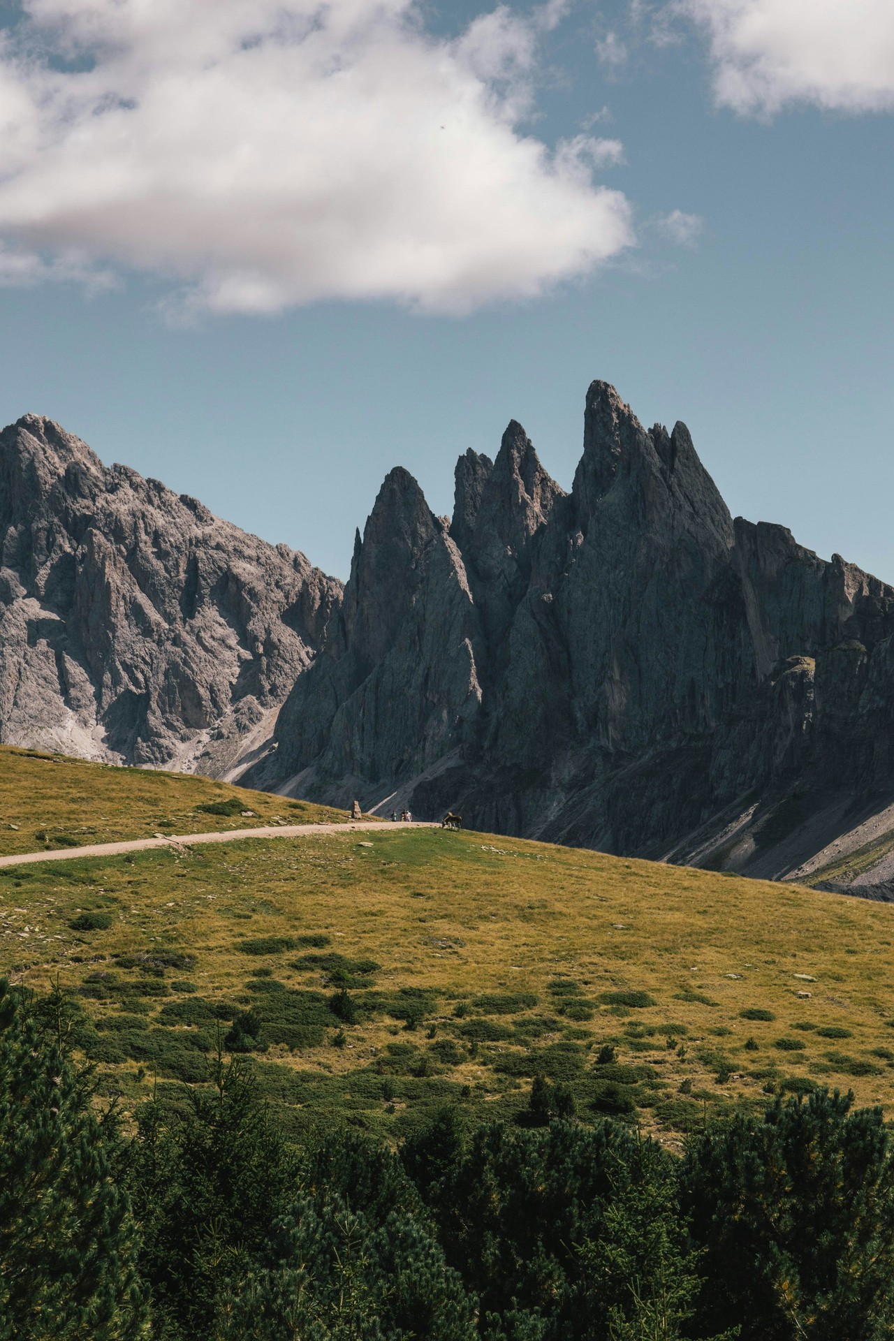 papéis de parede highland, Wilderness