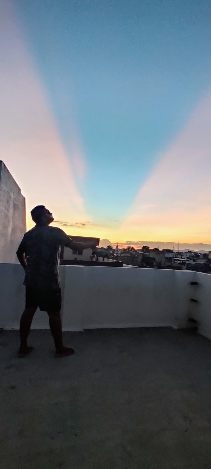 Kite and evening