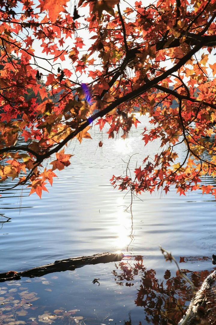 На воде