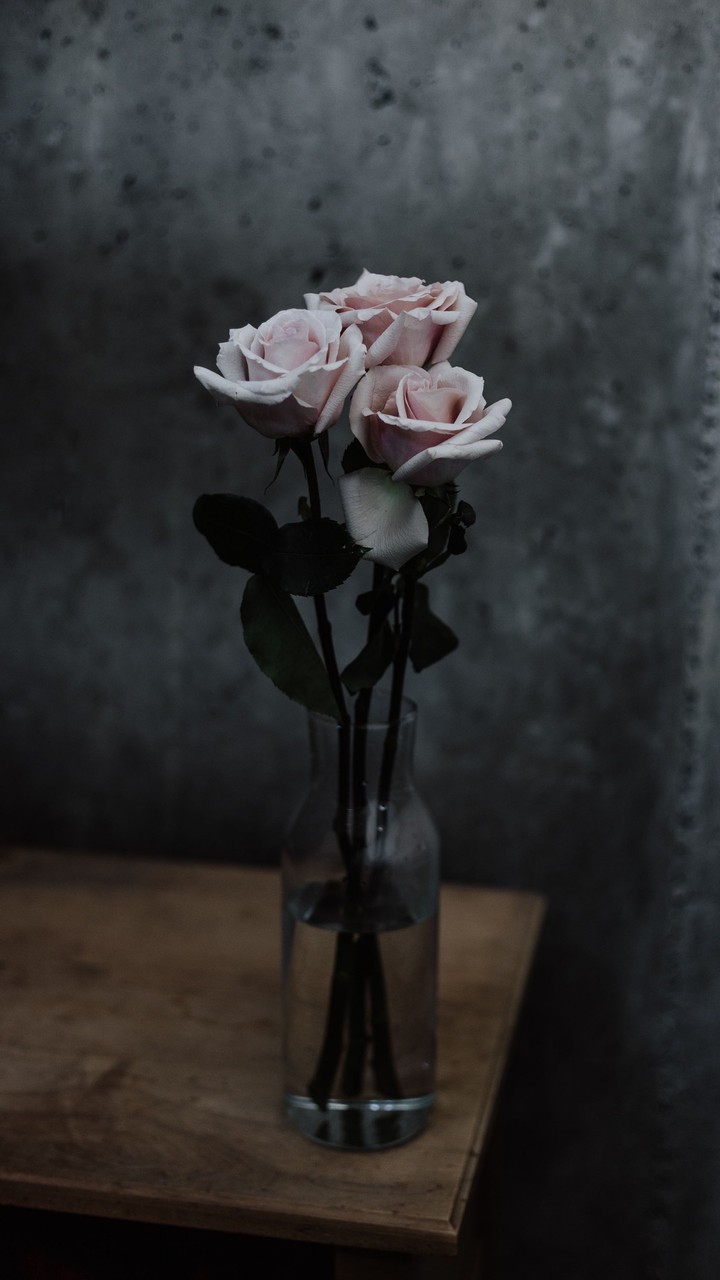Rose miss u