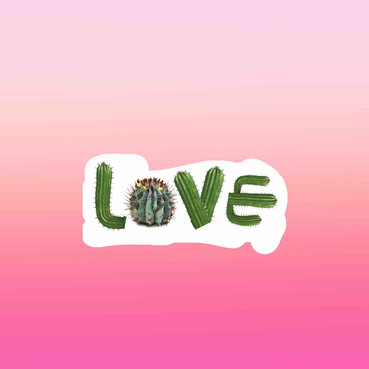кактус