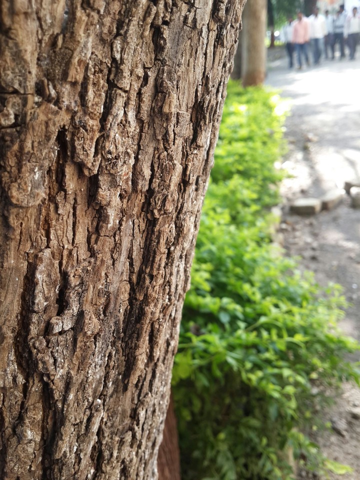 Random Click at My College