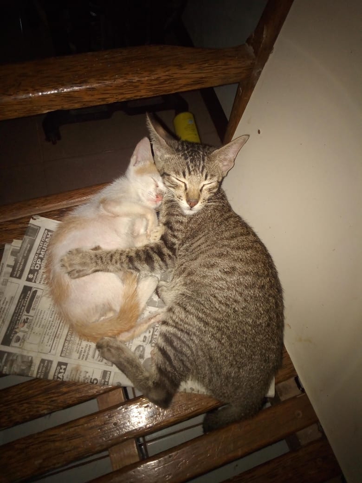 Luna and Wawan