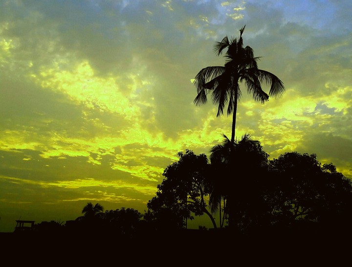 dawn