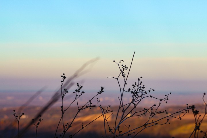nature