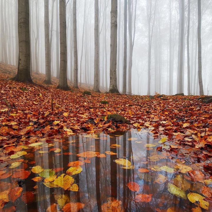 nature