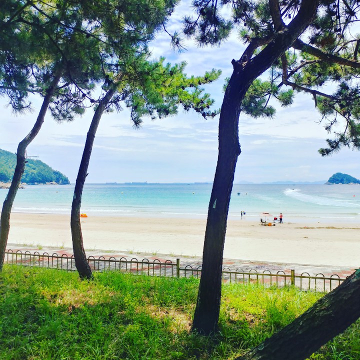 송정해안변