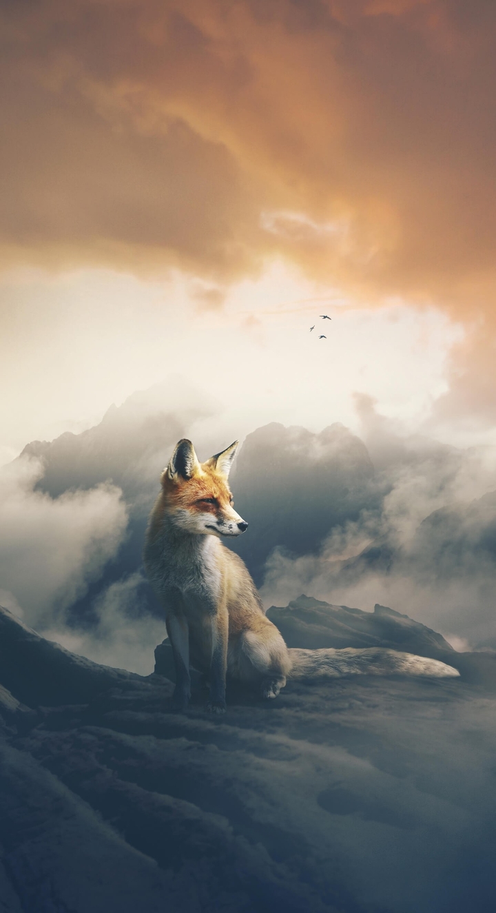 Clouds wallpapers