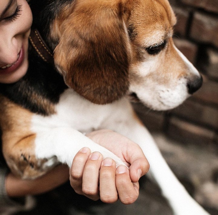 best friend