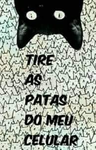 gato