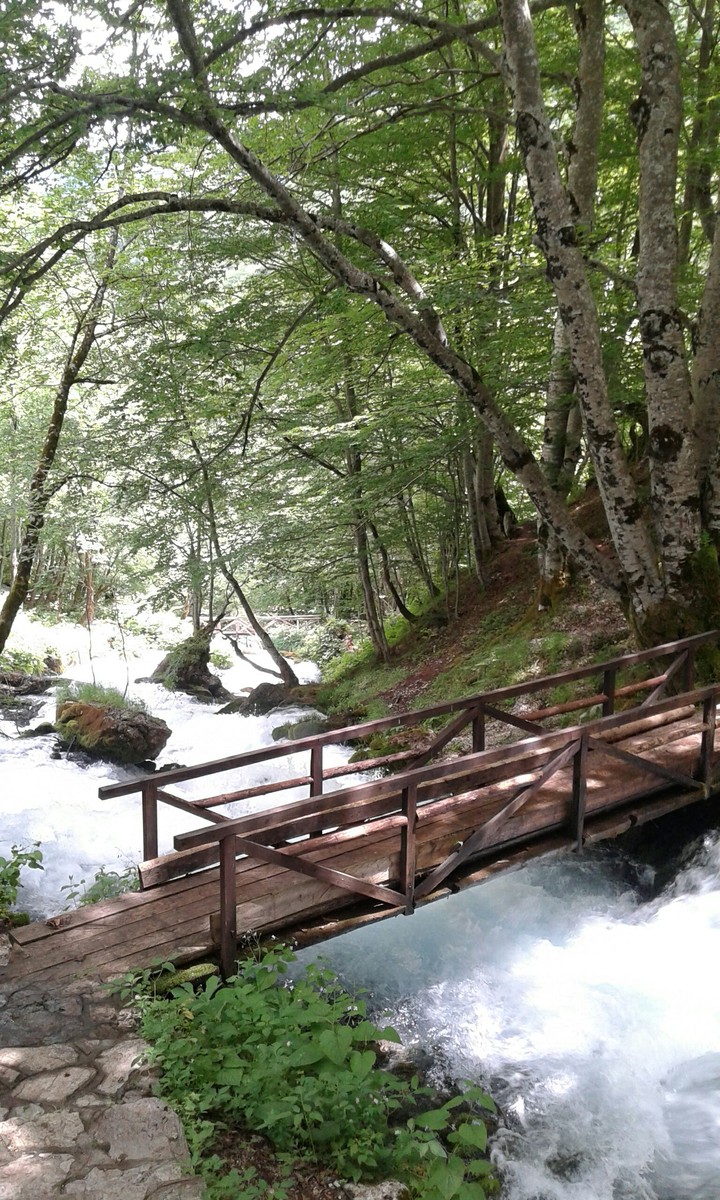 Bridge Upon River