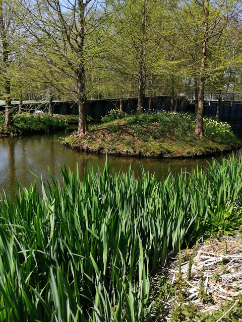 pond