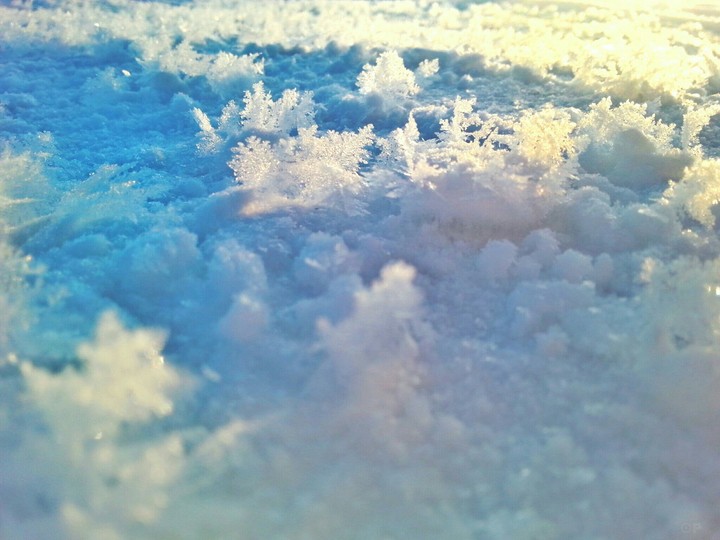 winter