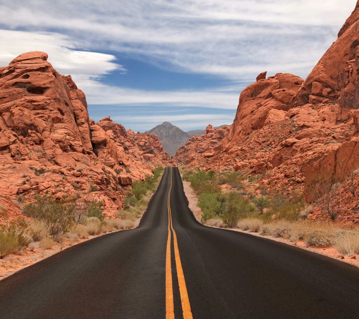 Lonely road