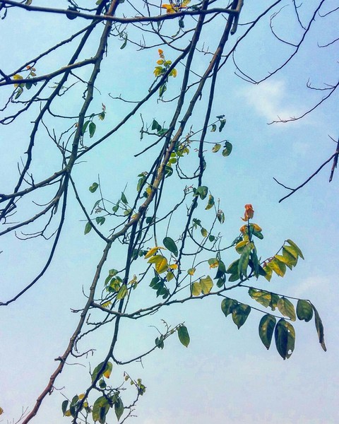 mùa hè với nhiều sắc màu yêu thương