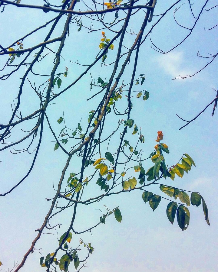 mùa hè với nhiều sắc màu yêu thương