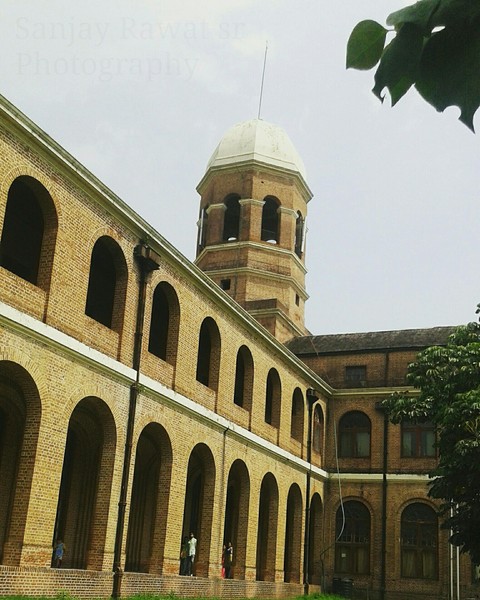 FOREST RESEARCH INSTITUTE OF INDIA