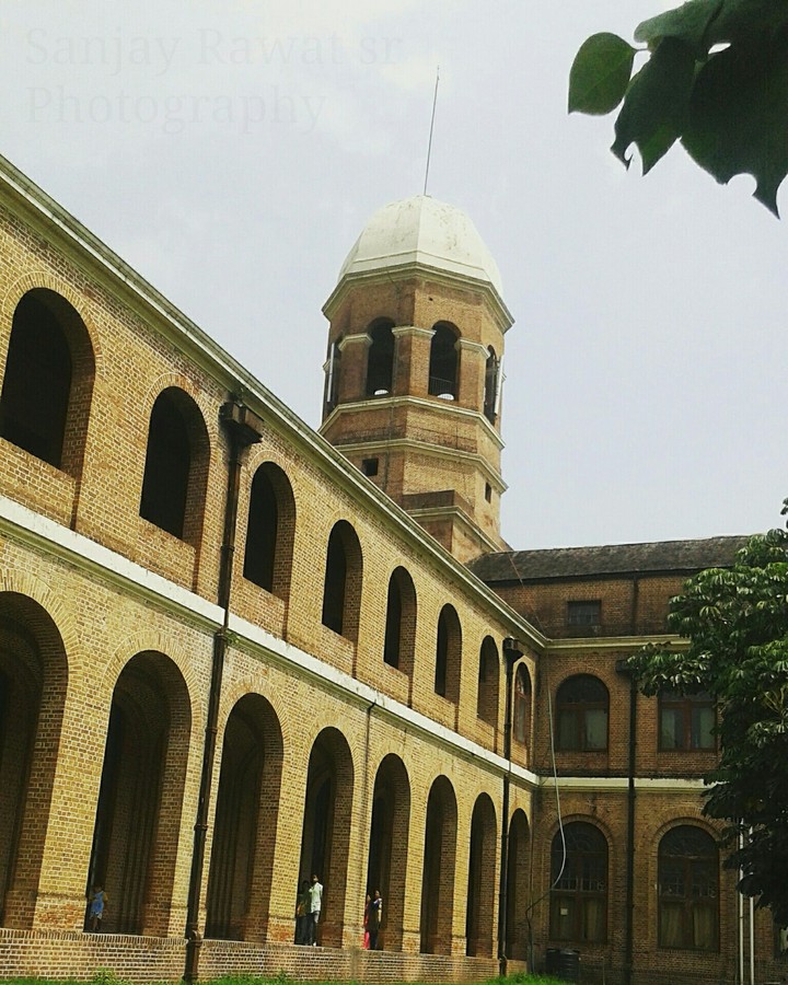 FOREST RESEARCH INSTITUTE OF INDIA