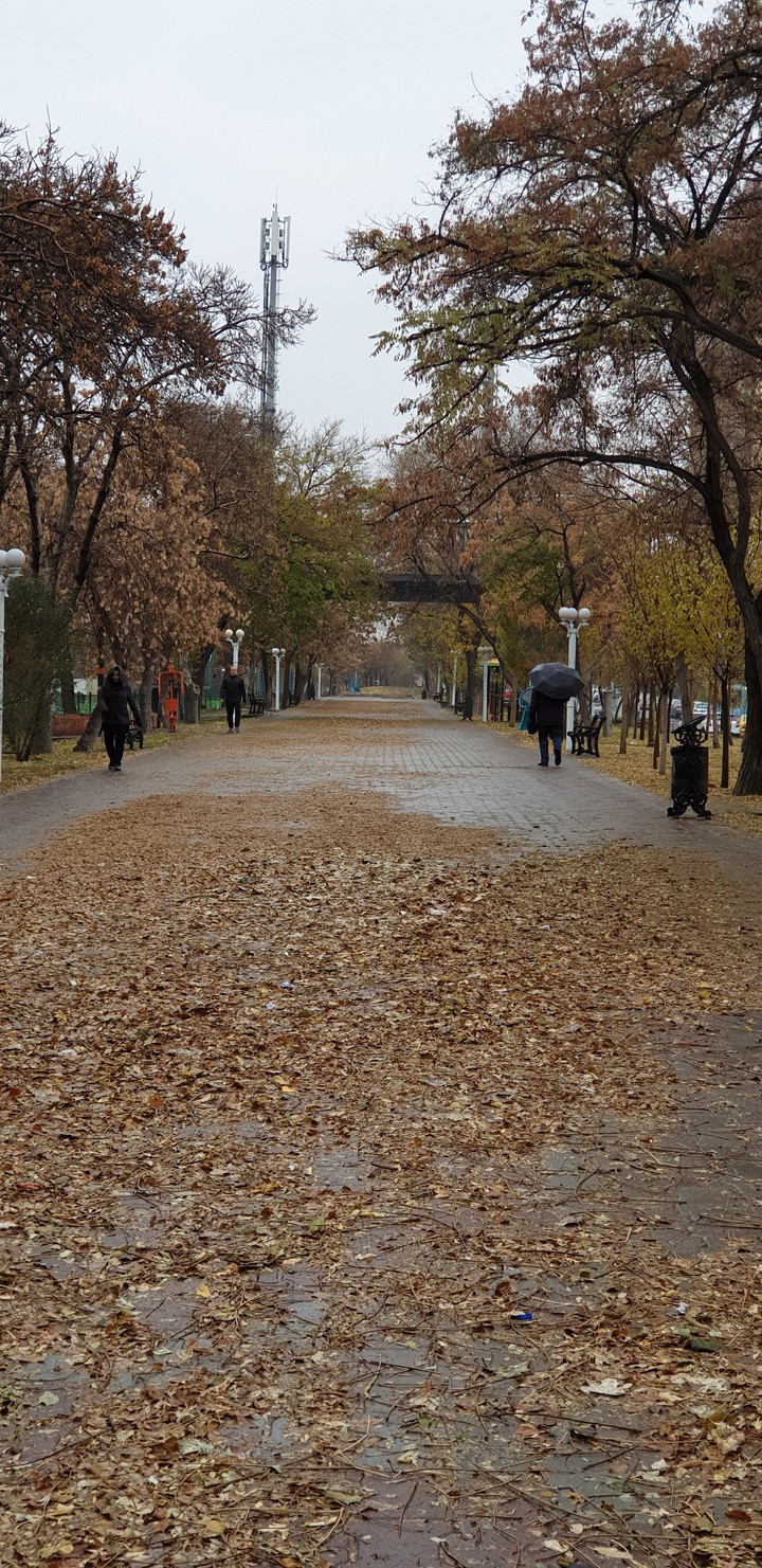 Autumn scene