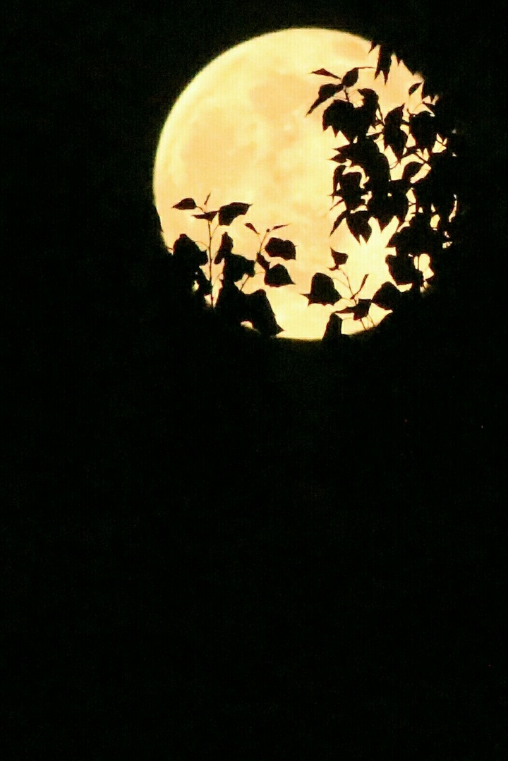 beautiful moon