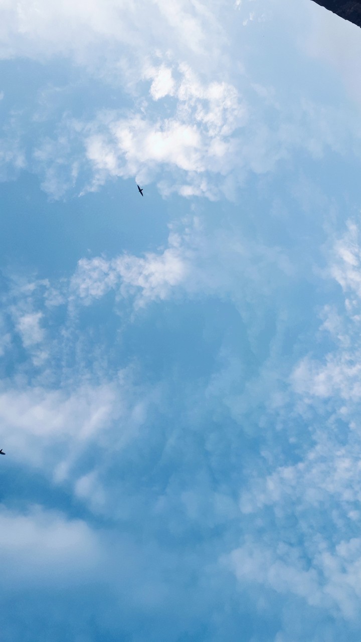 under the blue skyyy