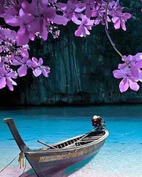 Natur