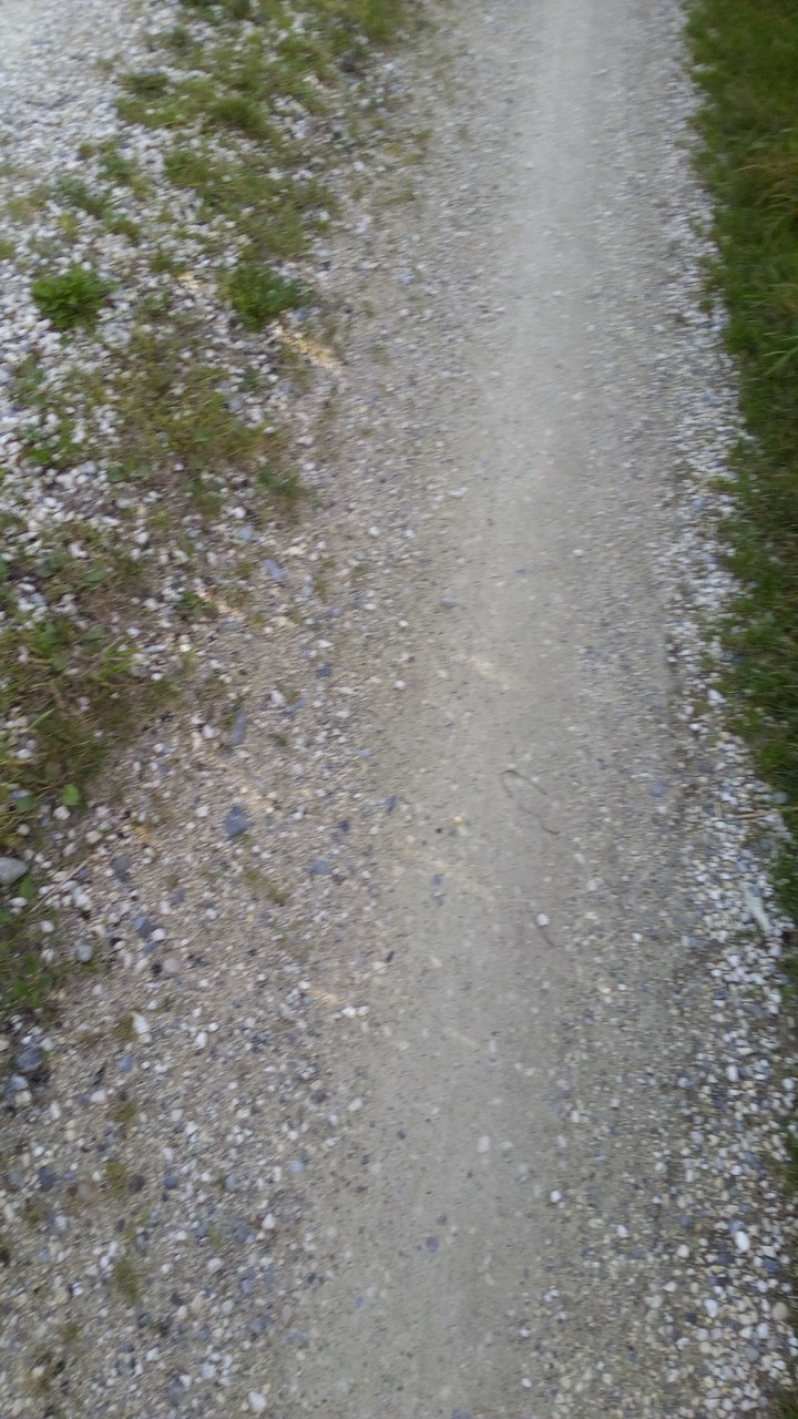 Path