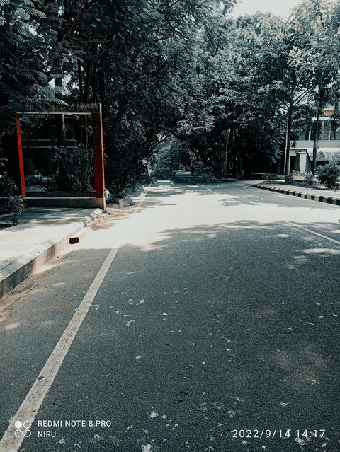black, Thoroughfare桌布