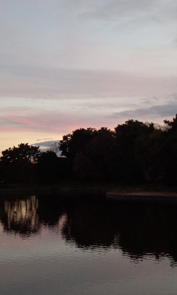 park pond