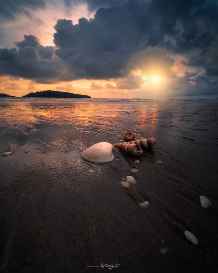 sea