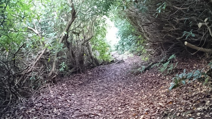 autumn walk