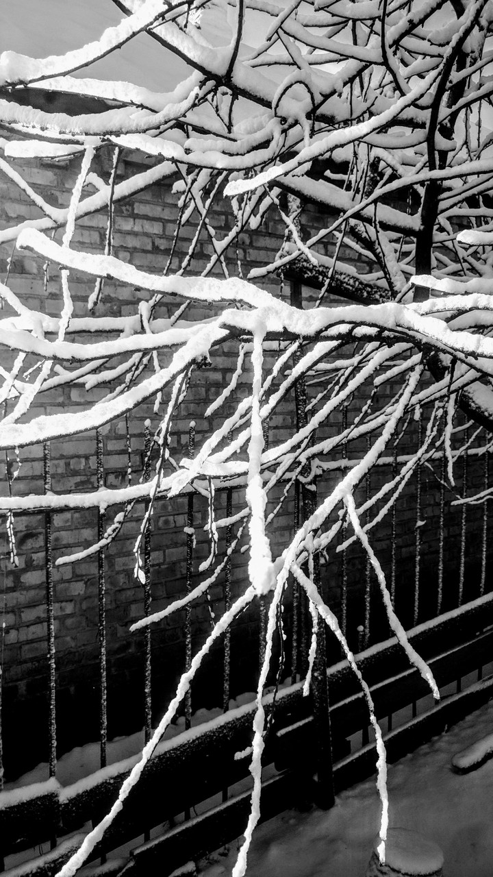 winter