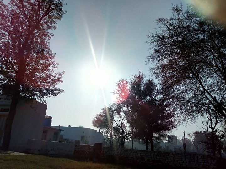 sunday morning
