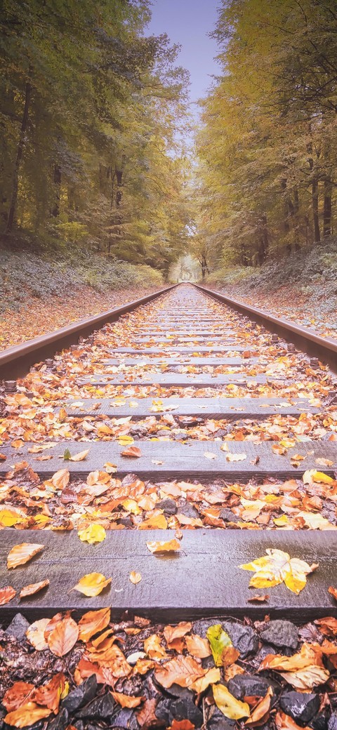 travel, symmetry duvar kağıtları
