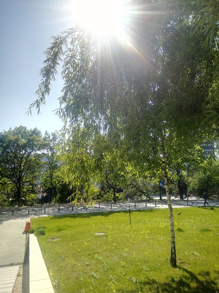 my sunny view after work