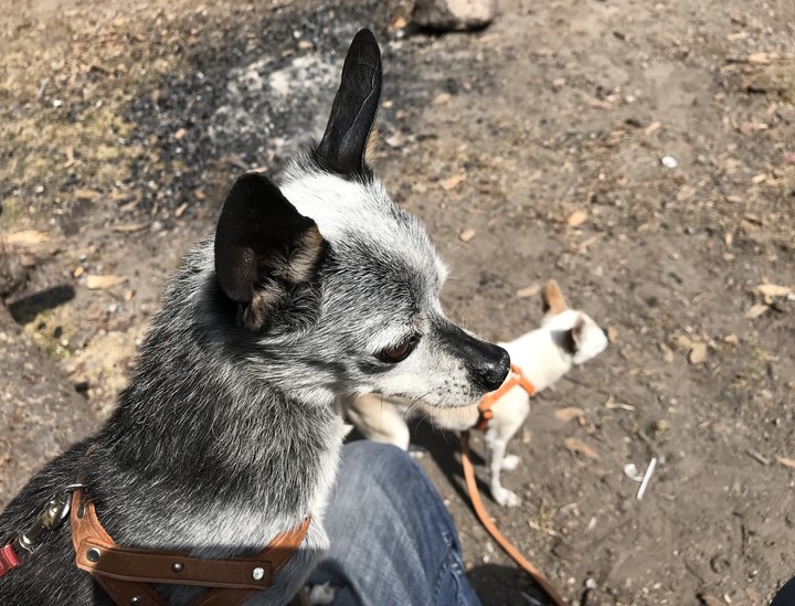 Best friends