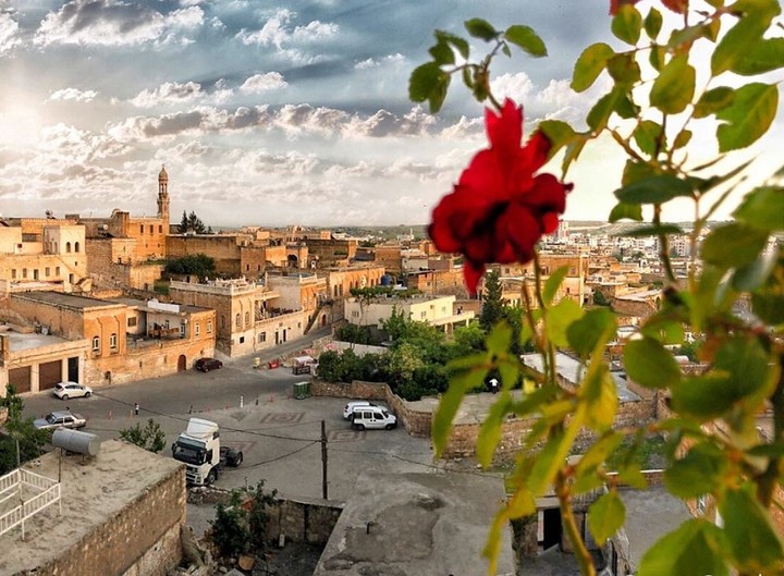 Mardin
