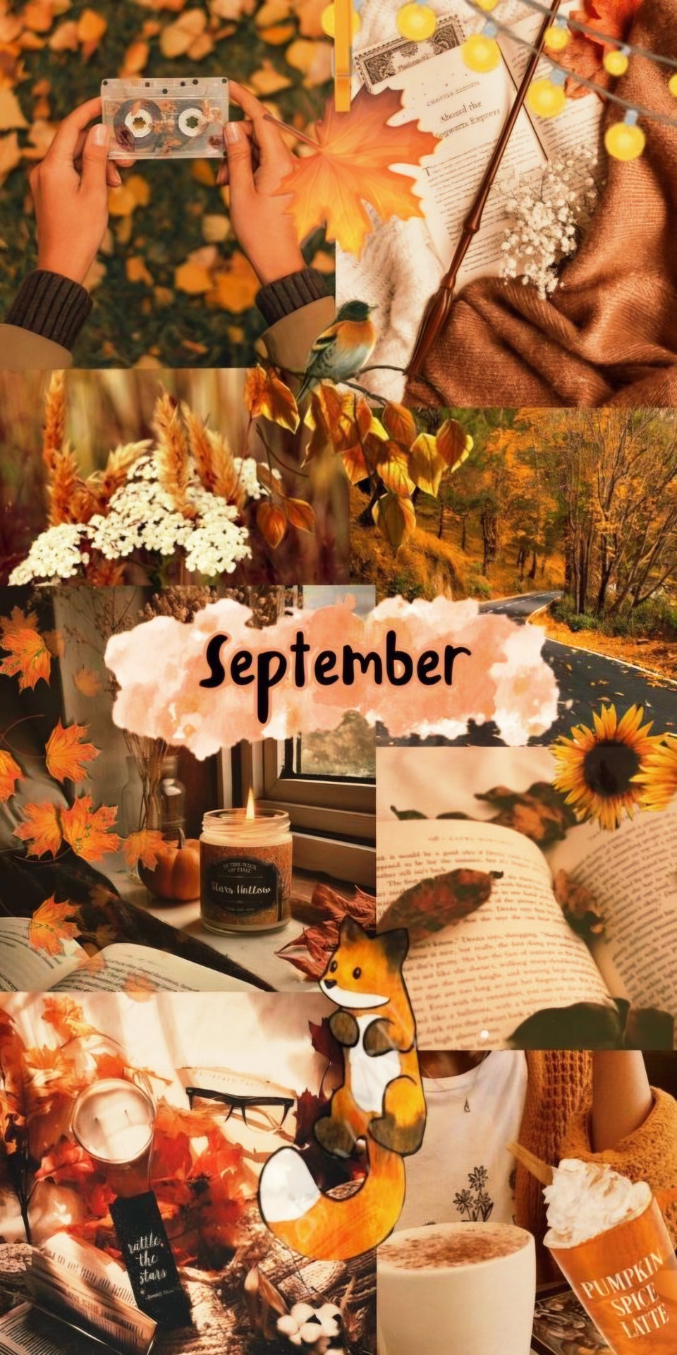 SEPTEMBER