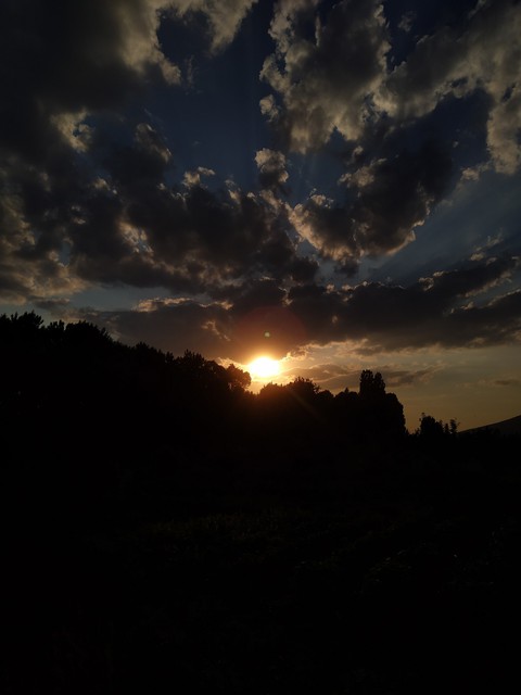 обои evening, nature