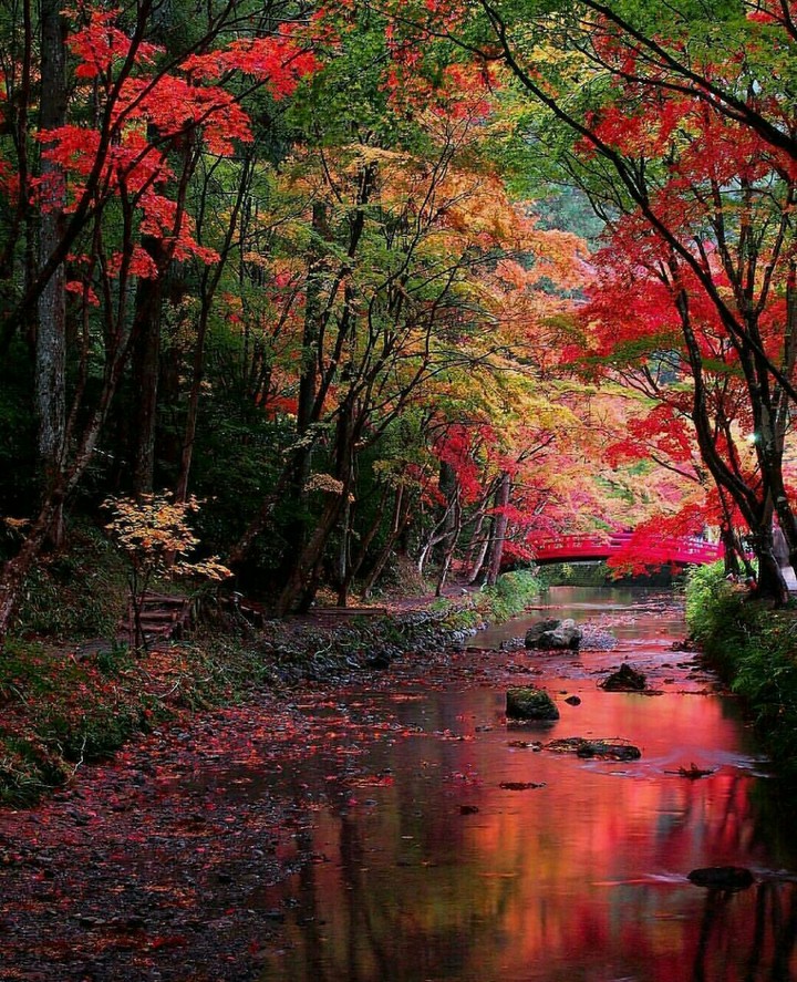 الخريف autumn