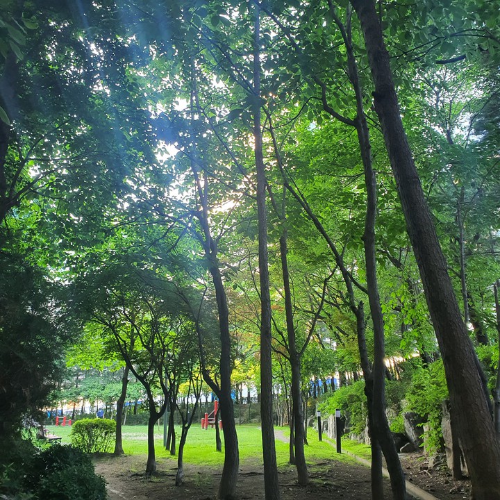 childhood playground